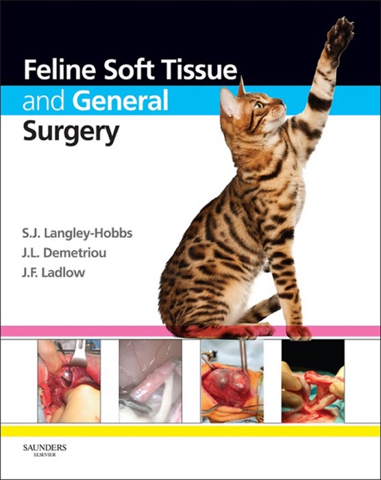 Feline Soft Tissue and General Surgery E-Book