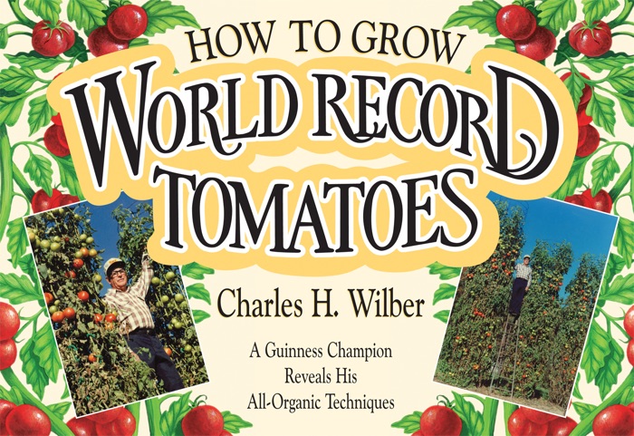 How to Grow World Record Tomatoes