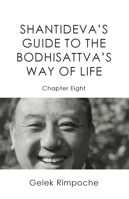 Guide to the Bodhisattva's Way of Life Chapter Eight