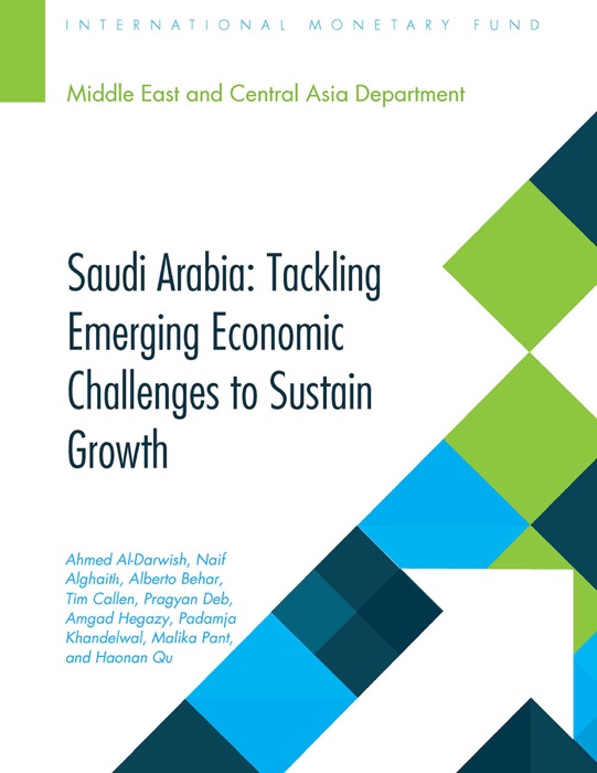 Saudi Arabia :Tackling Emerging Economic Challenges to Sustain Strong Growth