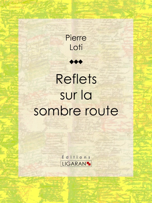 Reflets sur la sombre route