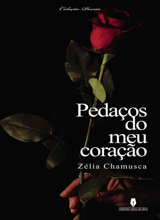 Pedaços do meu coração