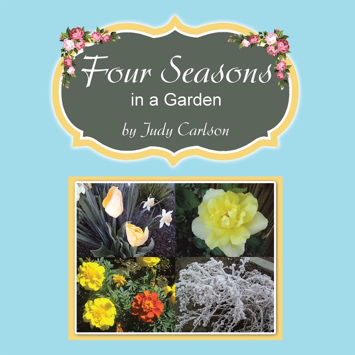 Four Seasons in a Garden