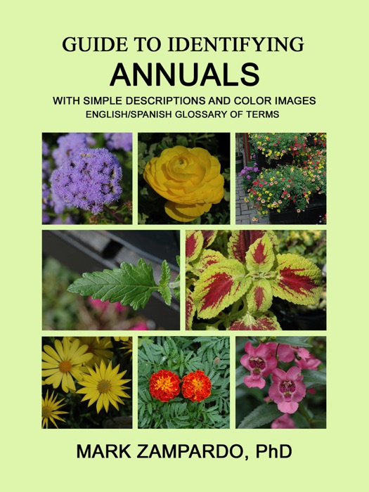 Guide to Identifying Annuals