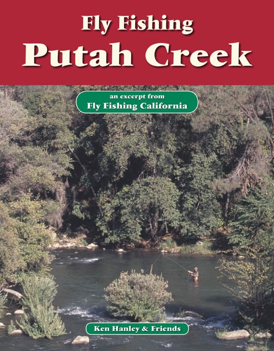 Fly Fishing Putah Creek