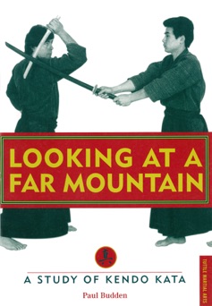 Looking at a Far Mountain - Paul Budden