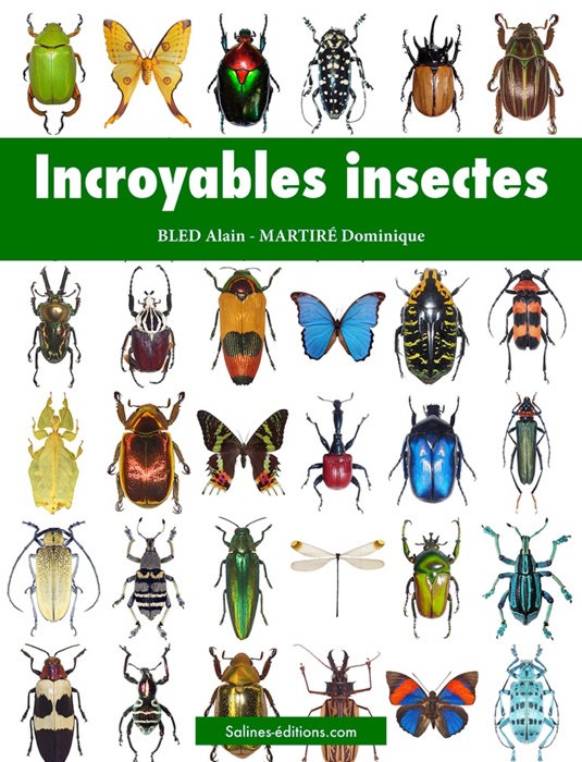 Incroyables insectes