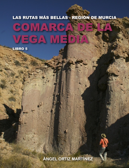 Comarca de la Vega Media. Libro 5