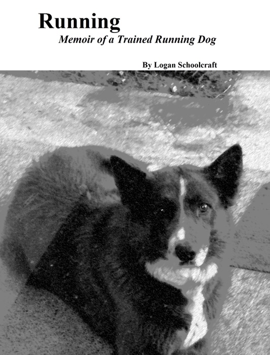 Running: Memoir of a Trained Running Dog