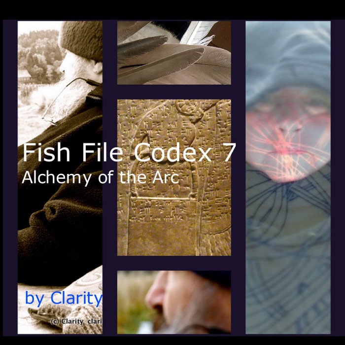 Fish File Codex 7