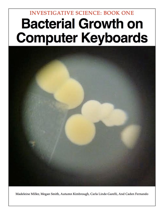 Bacterial Growth on Computer Keyboards