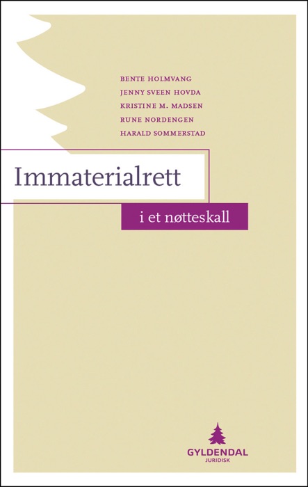 Immaterialrett i et nøtteskall