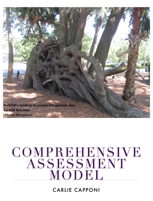 Comprehensive Assessment Model