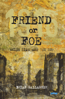 Brian Gallagher - Friend or Foe artwork