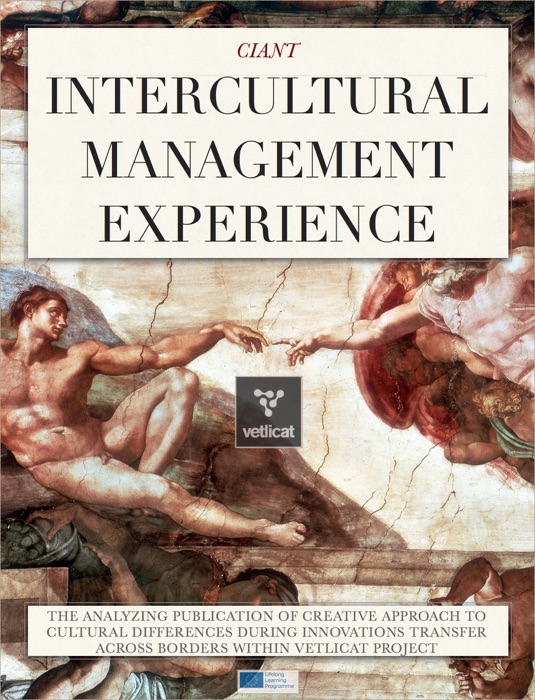 Intercultural Management Experience