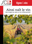 Ainsi naît le vin - Adrien Vergnolle & Emilie Drouinaud