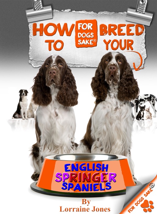 How to Breed Your English Springer Spaniel