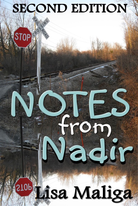 Notes from Nadir