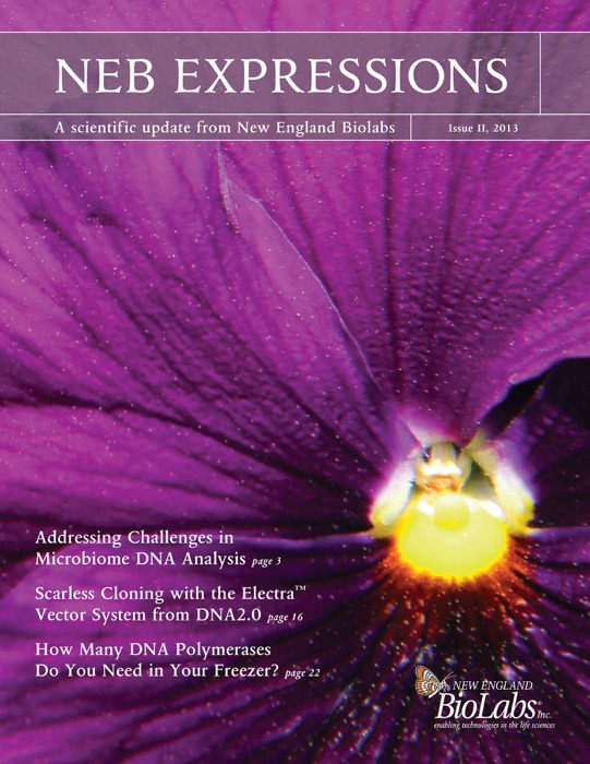 NEB Expressions, Issue II 2013