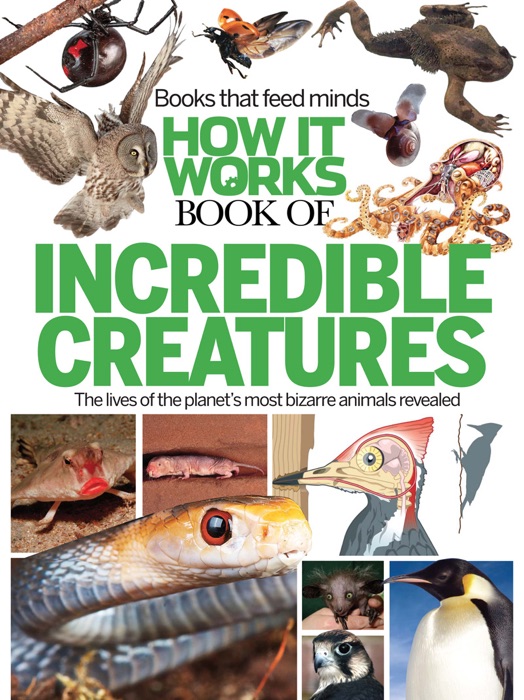 How It Works Book of Incredible Creatures