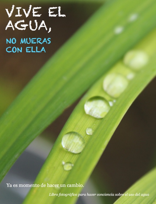 Vive el Agua, No Mueras con Ella