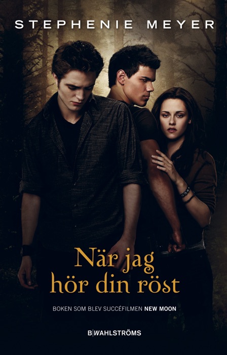 Twilight 2 - När jag hör din röst