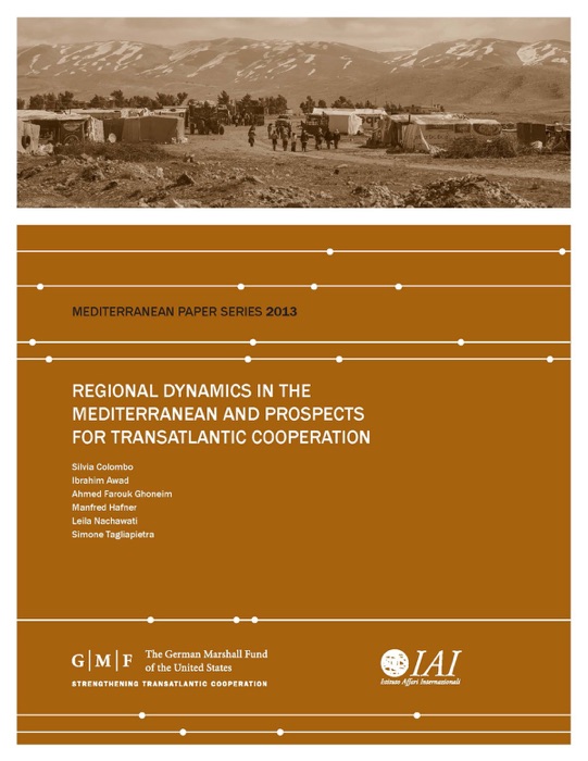 Regional Dynamics in the Mediterranean and Prospects for Transatlantic Cooperation