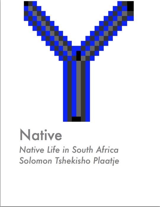 Native Life in South Africa