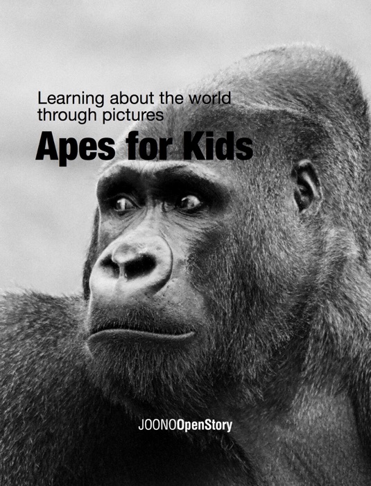 Apes for Kids