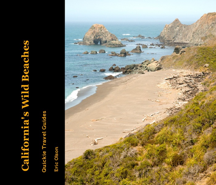 California's Wild Beaches