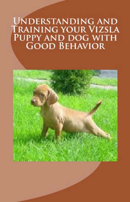 Understanding and Training Your Vizsla Puppy and Dog With Good Behavior