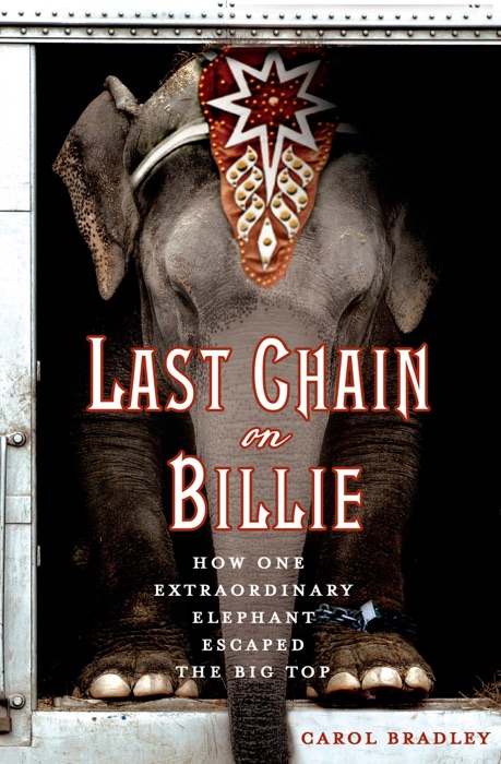 Last Chain On Billie