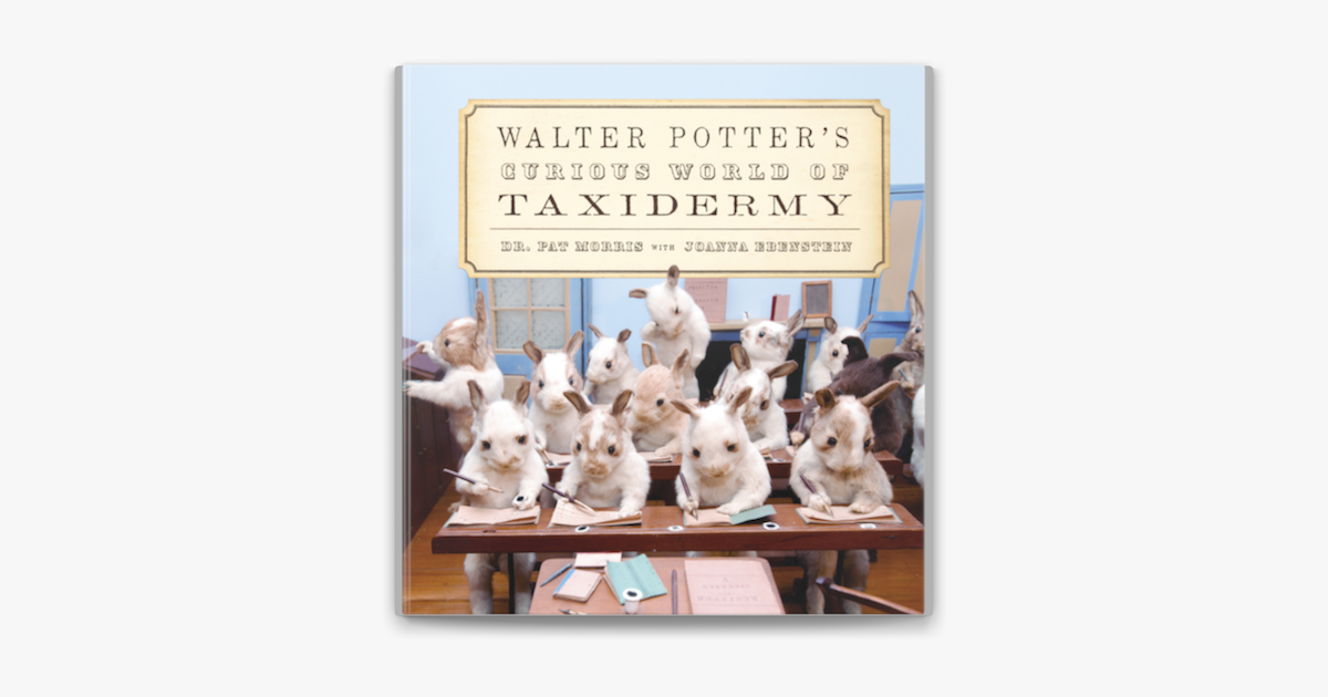 ‎Walter Potter's Curious World of Taxidermy on Apple Books Walter Potter Squirrels