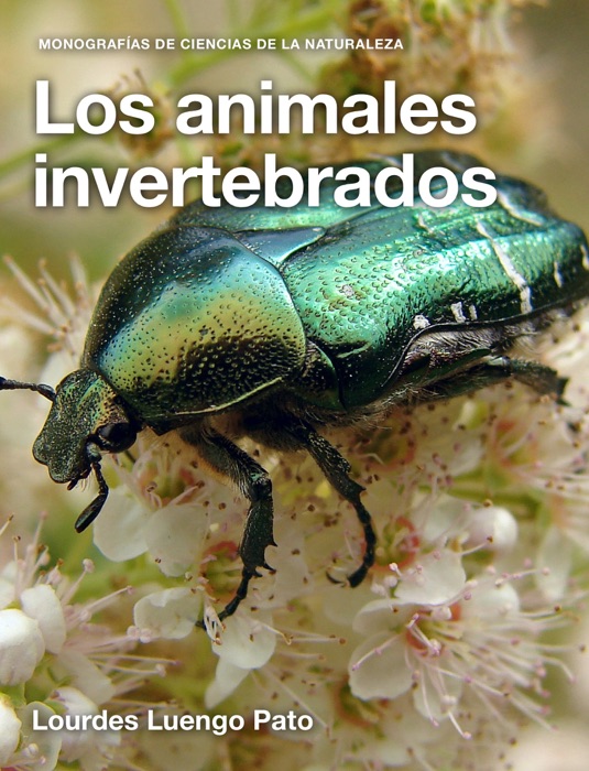 Los animales invertebrados