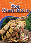 Boa Constrictors - Colleen Sexton