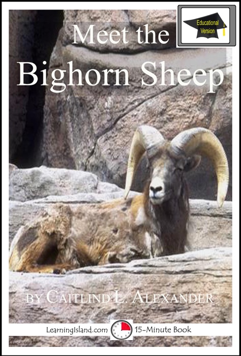 Meet the Bighorn Sheep: Educational Version
