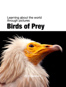Birds of Prey - Joono