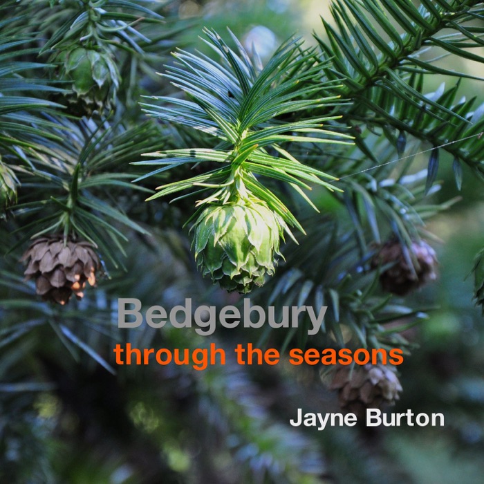 Bedgebury Through the Seasons