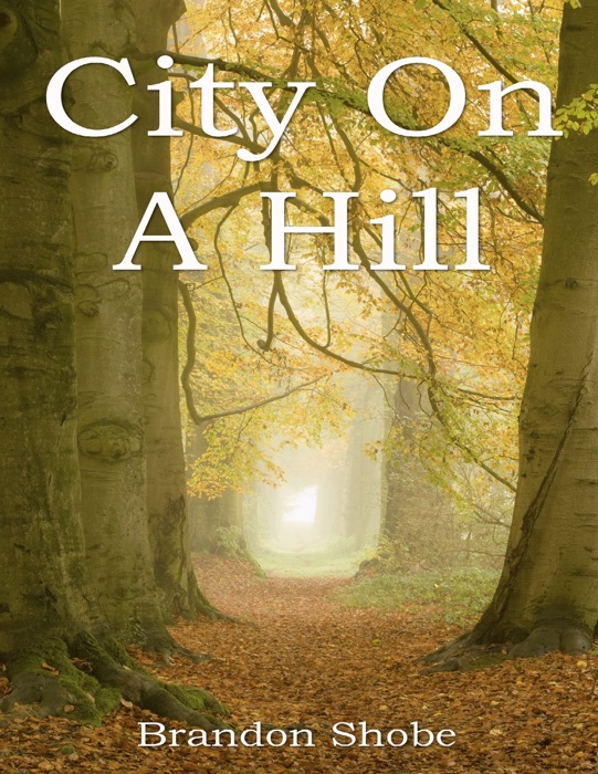 City On a Hill