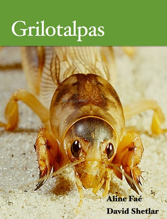 Grilotalpas