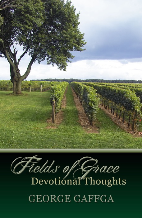 Fields of Grace ~ Devotional Thoughts