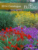 Blooms of Bressingham Plants for 2014 - Blooms of Bressingham