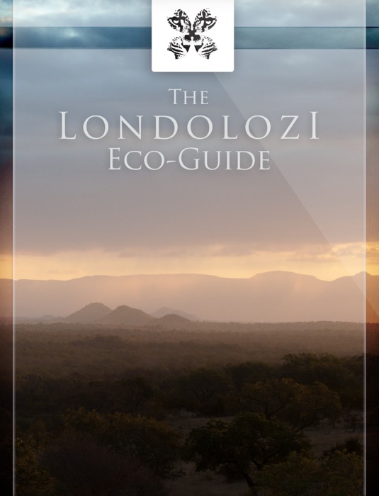 The Londolozi Eco-Guide