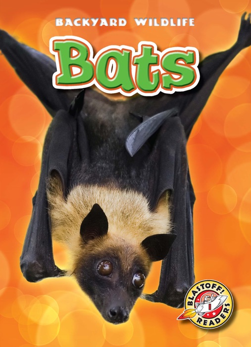 Bats