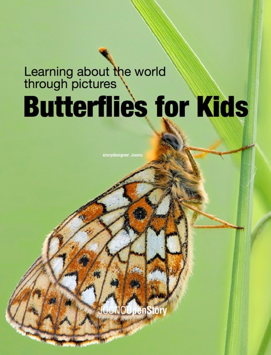 Butterflies for Kids