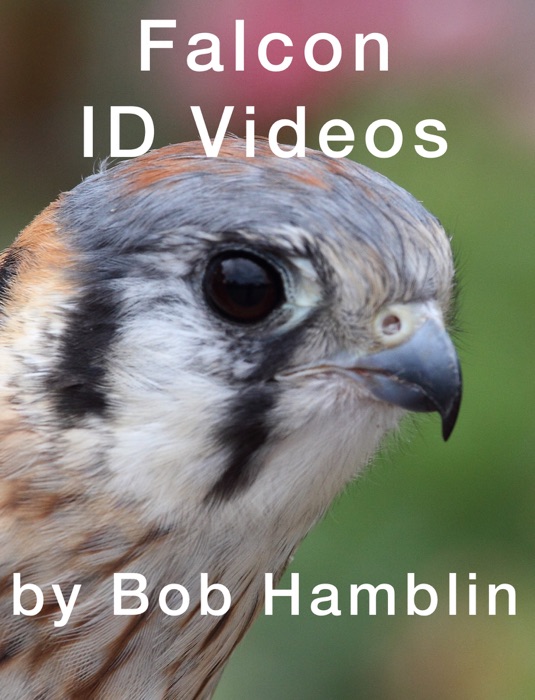 Falcon ID Videos