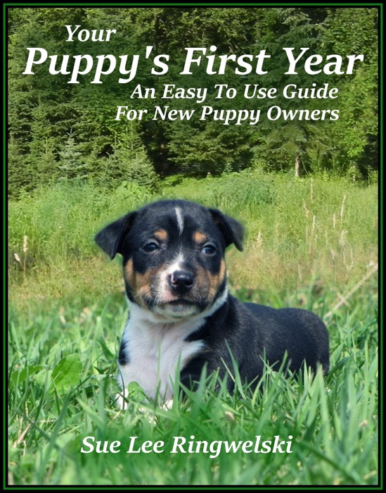 Your Puppy's First Year