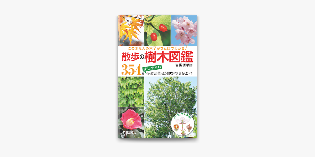 この木なんの木 がひと目でわかる 散歩の樹木図鑑 On Apple Books この木なんの木 がひと目でわかる 散歩の樹木図鑑 On Apple Books