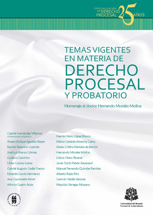 Temas vigentes en materia de derecho procesal y probatorio