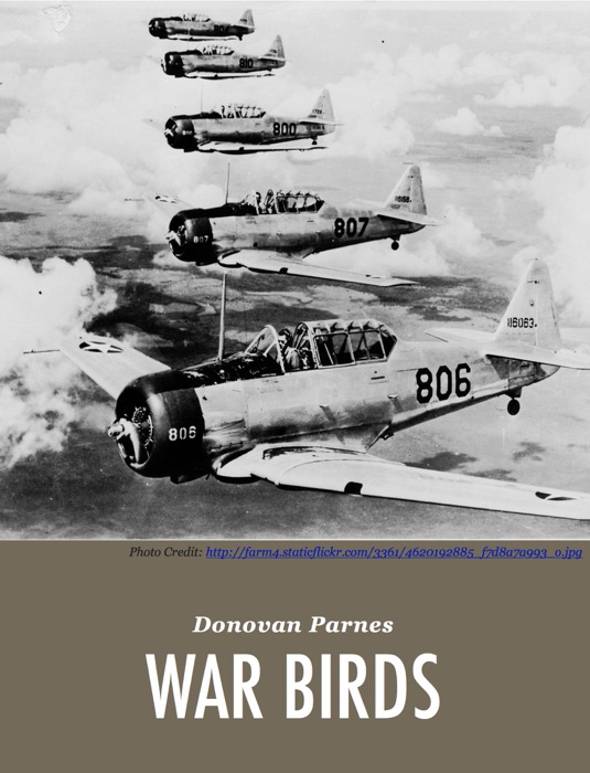 War Birds